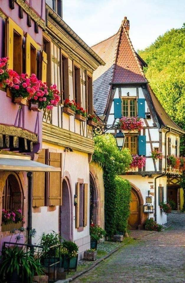 Studio Cosy Kaysersberg Centre Exterior photo